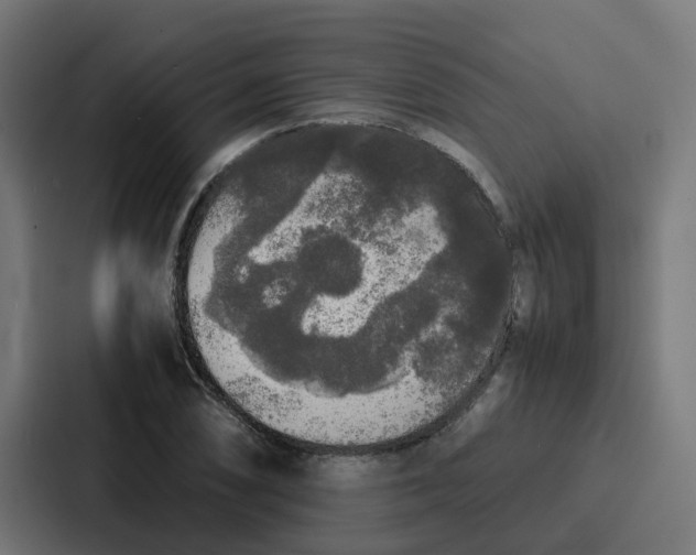 X0000087321074200705112132