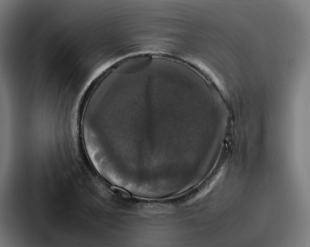 X0000087321077200705112132