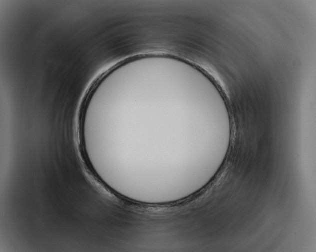 X0000087321080200705112132