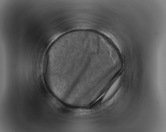 X0000087321081200705112132