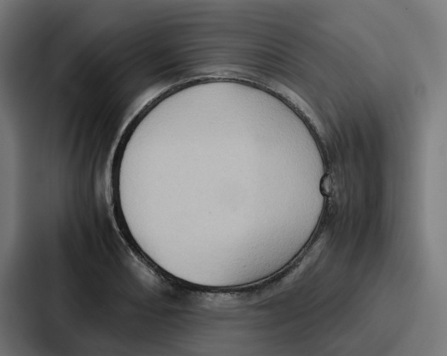 X0000087321082200705112132