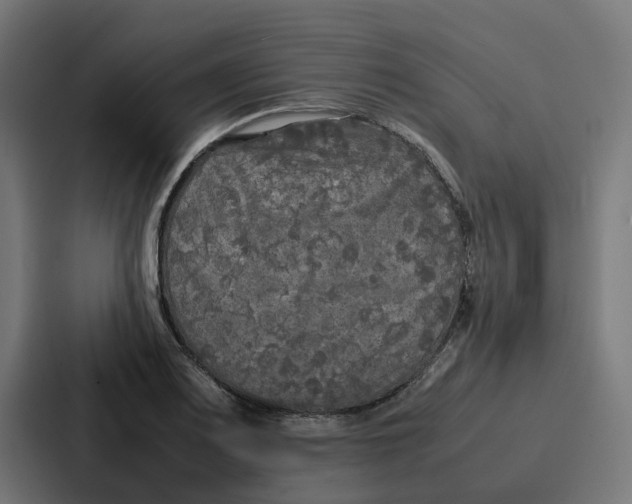 X0000087321083200705112132