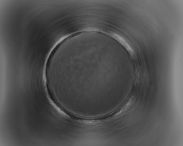 X0000087321084200705112132