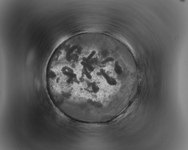 X0000087321087200705112132