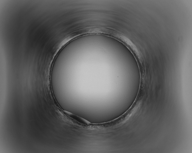 X0000087321089200705112132