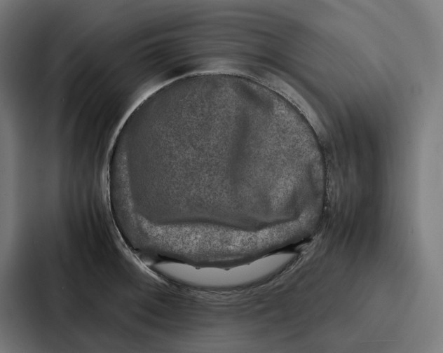 X0000087321092200705112132