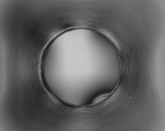 X0000087321093200705112132