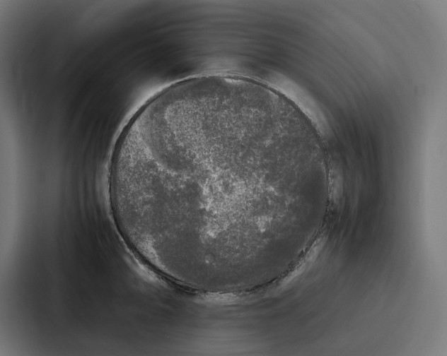 X0000087321094200705112132