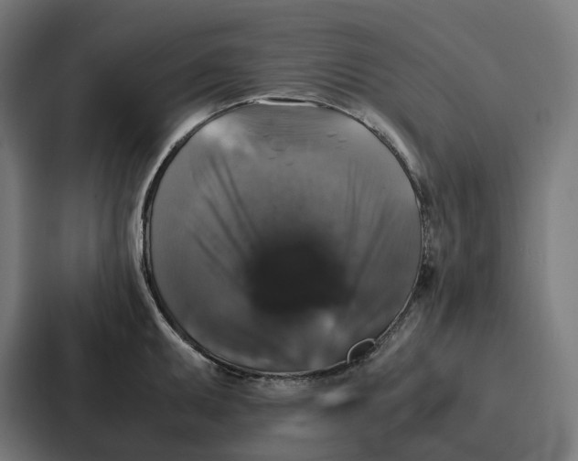 X0000087321095200705112132