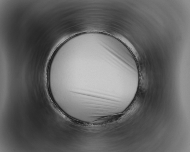 X0000087321096200705112132