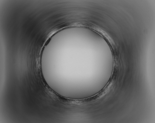 X0000087321097200705112132