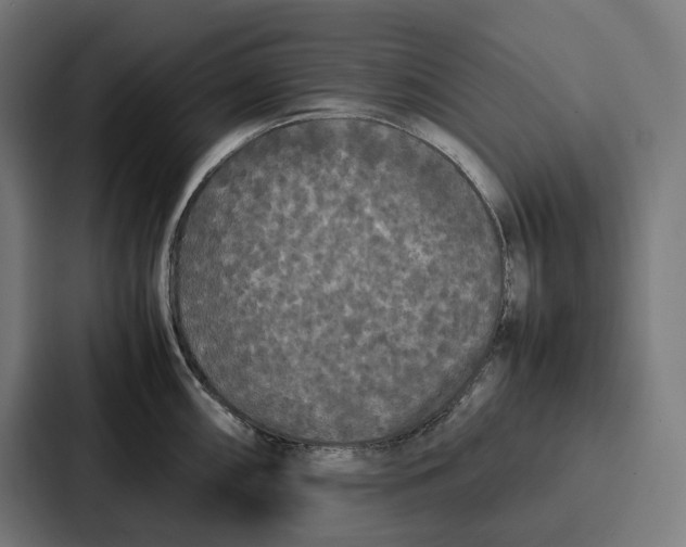 X0000087321098200705112132