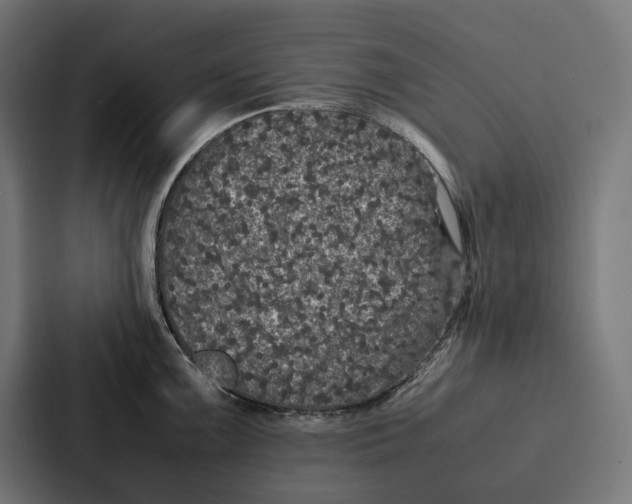 X0000087321099200705112132