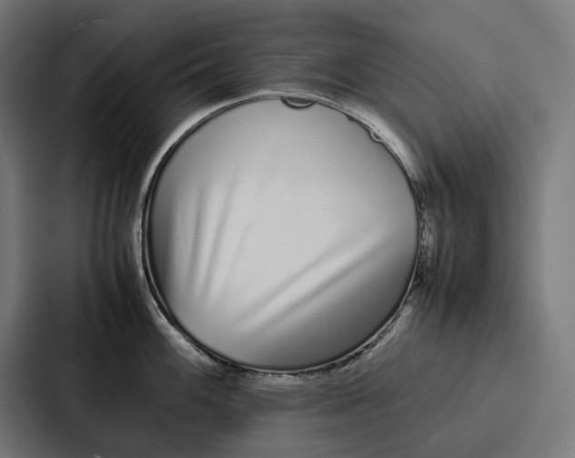 X0000087321100200705112132