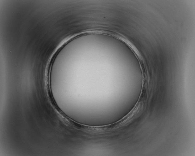 X0000087321101200705112132