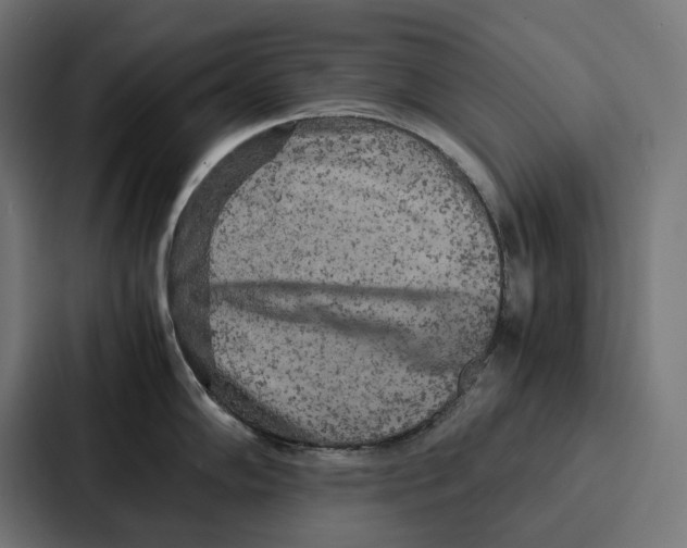 X0000087321102200705112132