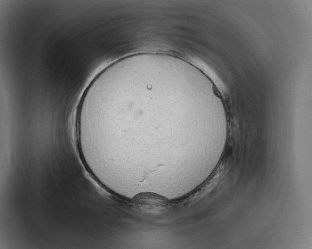 X0000087321103200705112132