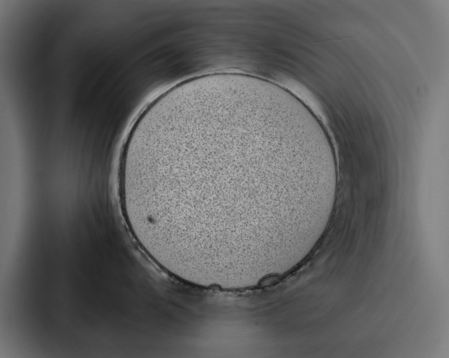 X0000087321104200705112132