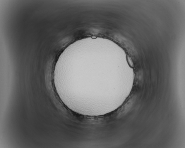 X0000087321105200705112131