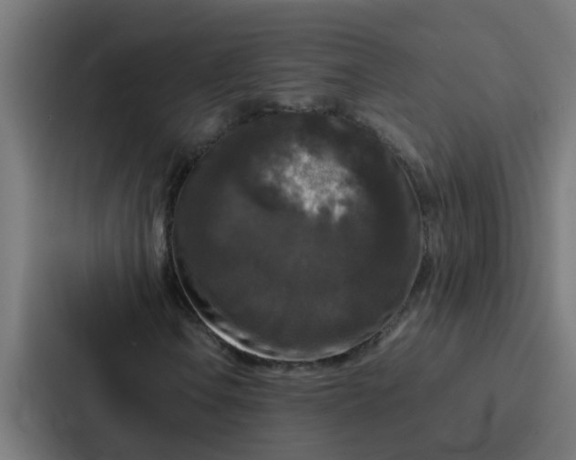 X0000087321106200705112131