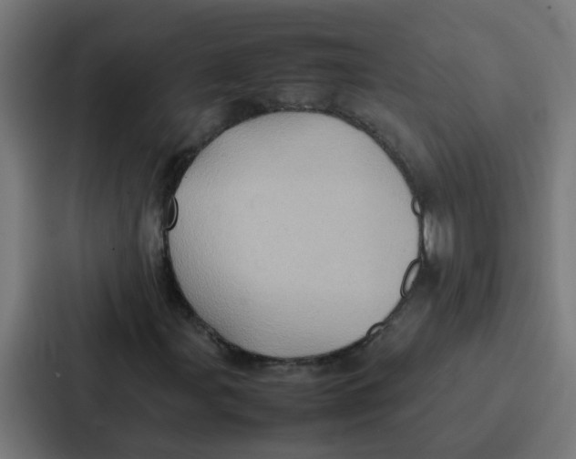 X0000087321107200705112131