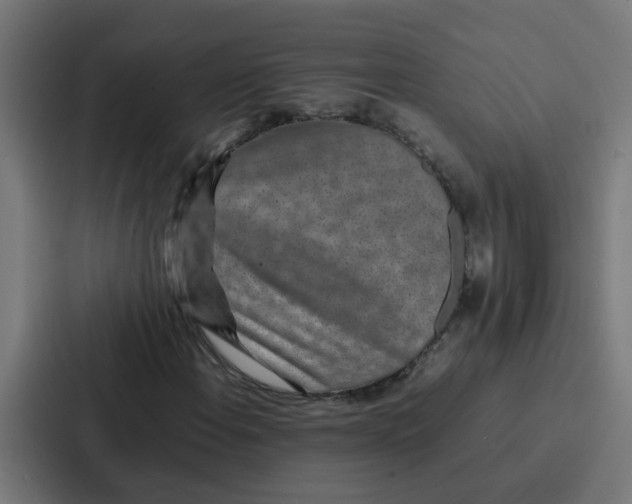 X0000087321108200705112131