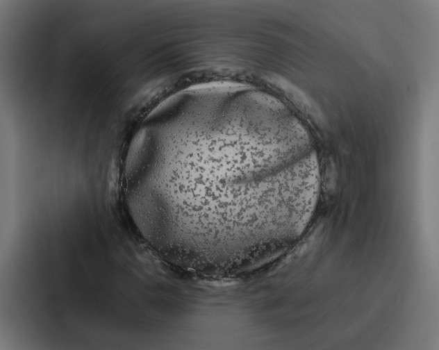 X0000087321110200705112131