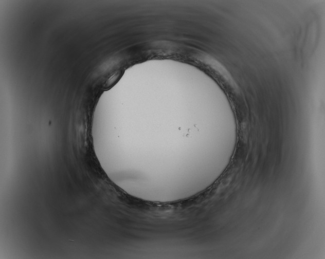 X0000087321111200705112131