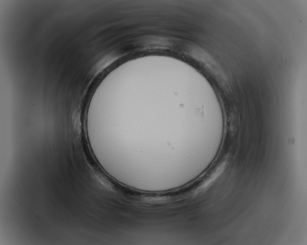 X0000087321113200705112131