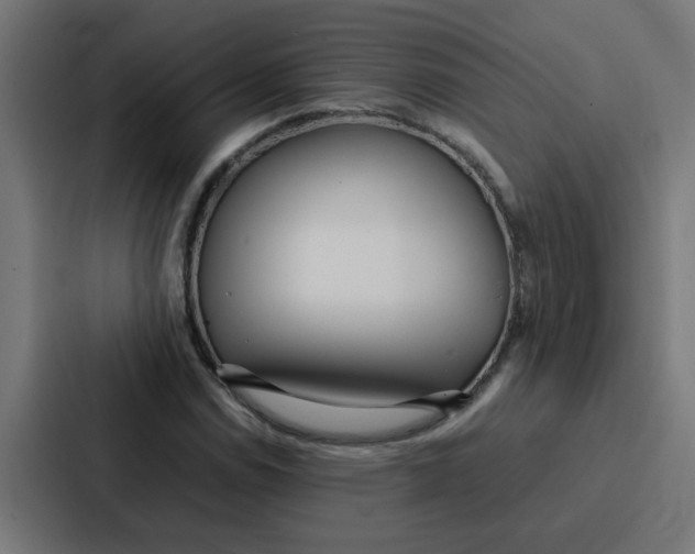 X0000087321114200705112131