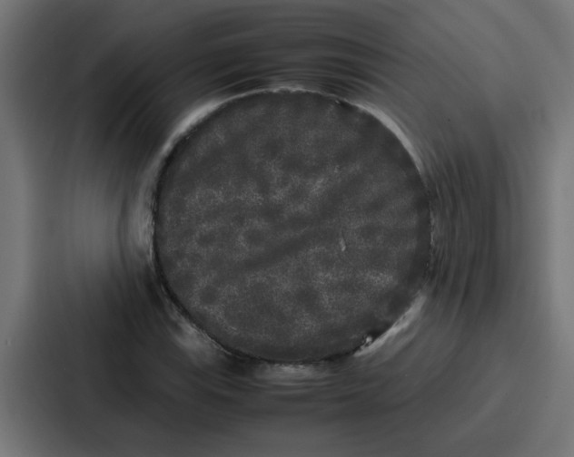 X0000087321115200705112131