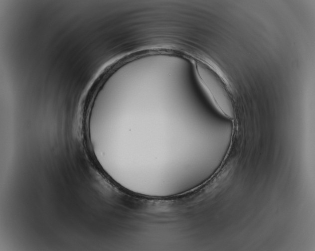 X0000087321116200705112131