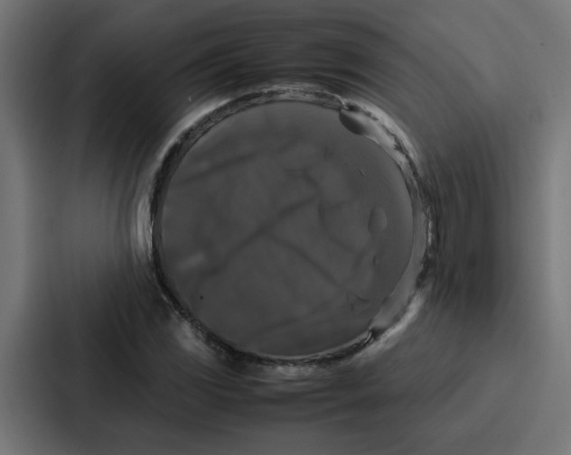 X0000087321117200705112131