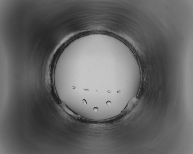 X0000087321118200705112131