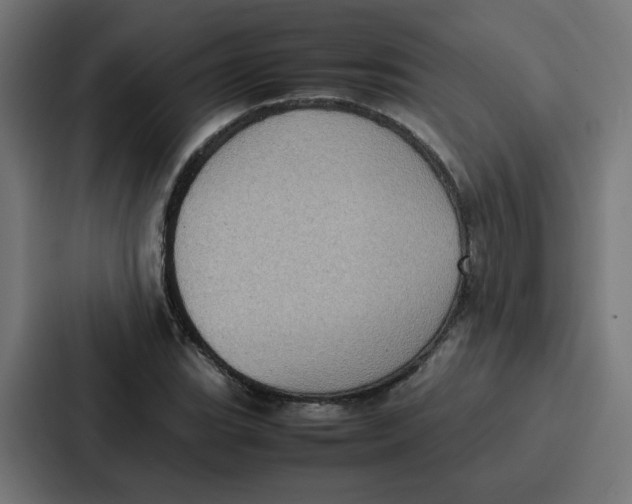 X0000087321119200705112131