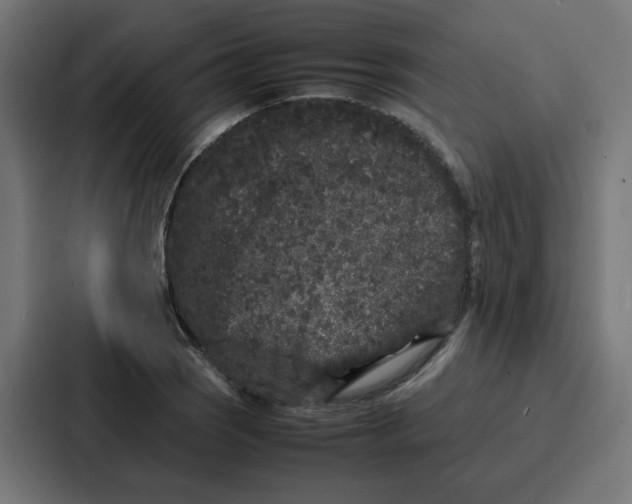 X0000087321121200705112131