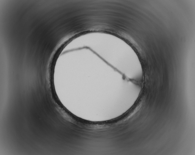 X0000087321122200705112131