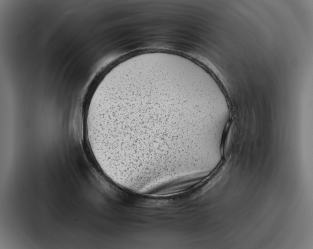 X0000087321123200705112131