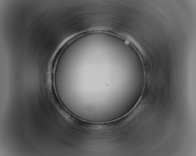 X0000087321124200705112131