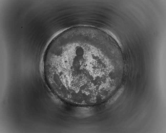 X0000087321125200705112131