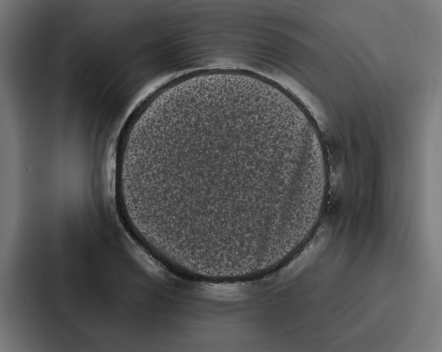 X0000087321126200705112131