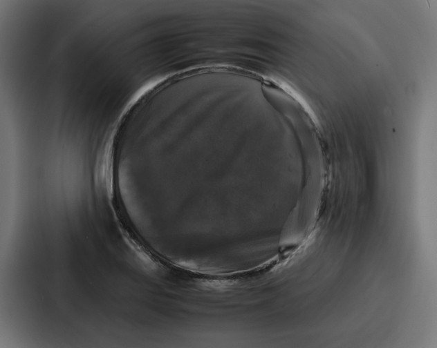 X0000087321127200705112131