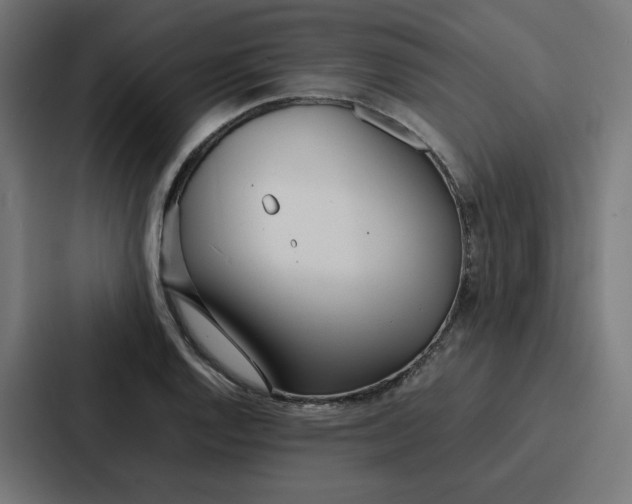 X0000087321128200705112131