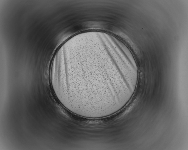 X0000087321129200705112131