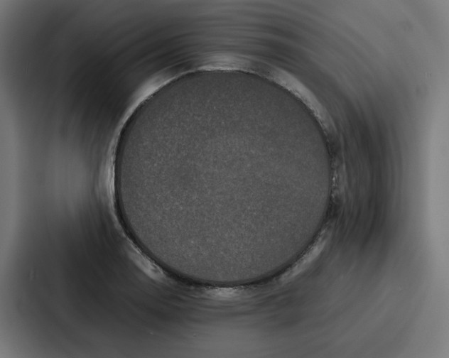 X0000087321130200705112132