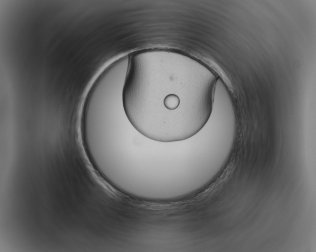 X0000087321132200705112132