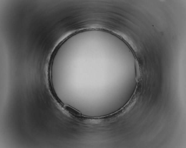 X0000087321134200705112132