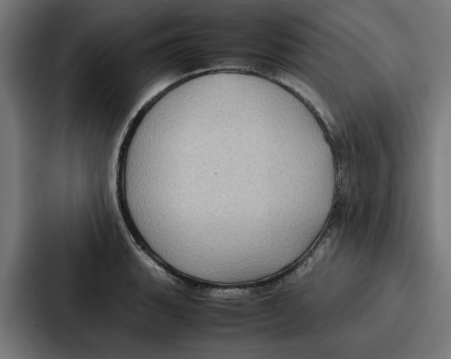 X0000087321135200705112132