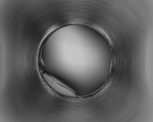 X0000087321138200705112132