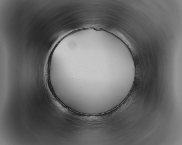 X0000087321140200705112132